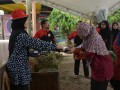 Tn DSC 7786